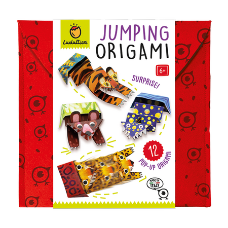 Set Origami pentru incepatori