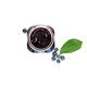Dulceata de afine, 300 g, Sweeteria 676883