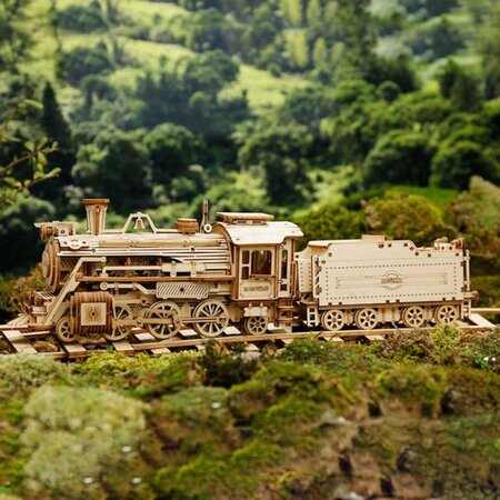 Puzzle 3D din lemn Prime Steam Express, 308 piese, Robotime 556096