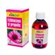 Sirop de echinacea si propolis, 200 ml, Elidor 556740