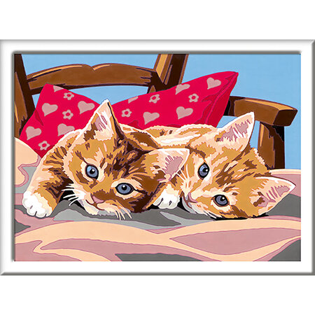 Pictura pe numere Pisicute Creart, Ravensburger 556964