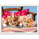 Pictura pe numere Pisicute Creart, Ravensburger 556964