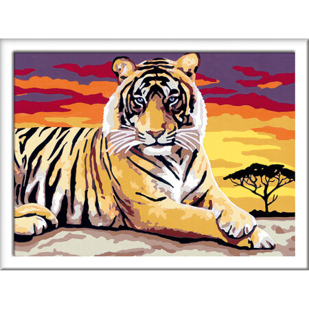 Pictura pe numere Tigru, Ravensburger 556974