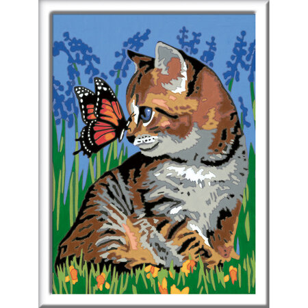 Pictura pe numere Pisicuta si Fluturas Creart, Ravensburger 556977