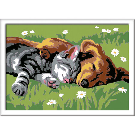 Pictura pe numere Catelus si Pisicuta, +7 ani, Ravensburger 556995