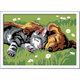Pictura pe numere Catelus si Pisicuta, +7 ani, Ravensburger 556995