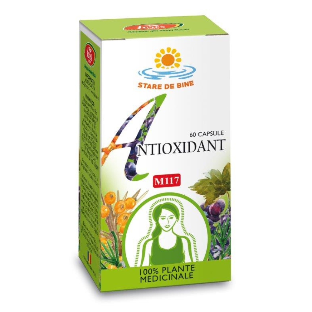 Antioxidant, 60 capsule, Fares