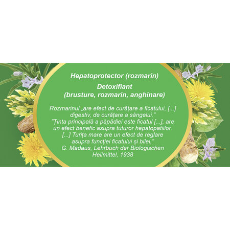 Ceai Hepatofit, 20 plicuri, Fares 723020