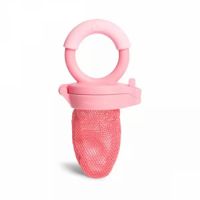 Dispozitiv de hranire Fresh Feeder, Pink, +6 luni, Munchkin