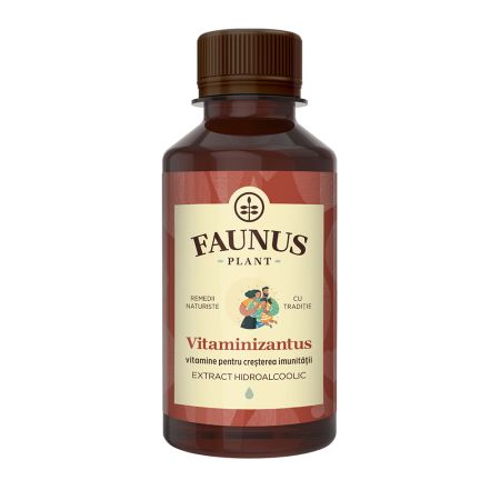 Tinctura Vitaminizantus, 200 ml, Faunus
