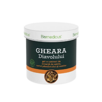 Gel Gheara Diavolului cu extract de Salcie, Untul Pamantului si Camfor, 250 ml, Biomedicus