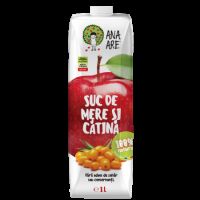 Suc de mere si catina, 1L, Ana Are