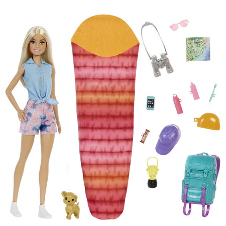 Papusa Barbie Malibu cu accesorii, +3 ani, Barbie 561316