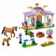 Dresaj pentru cai Lego Friends, +4 ani, 41746, Lego 561815