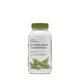 Concentrate Isoflavone din soia SuperFoods, 90 capsule, GNC 563431