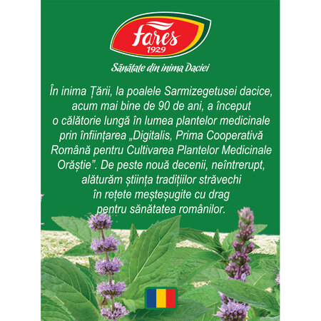 Ceai de menta Bio D127, 20 plicuri, Fares 722681