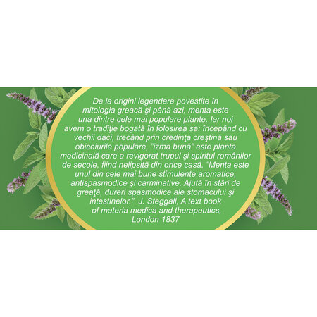 Ceai de menta Bio D127, 20 plicuri, Fares 722683