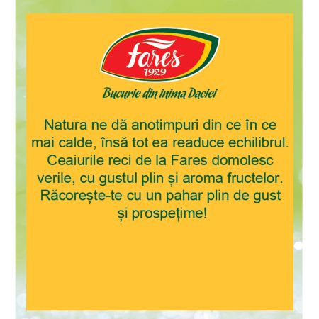 Ceai rece cu papaya mango si ananas, 12 plicuri, Fares 722980