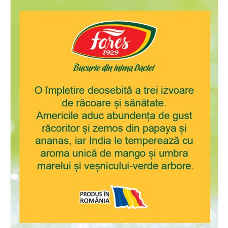 Ceai rece cu papaya mango si ananas, 12 plicuri, Fares 722979