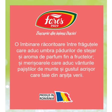 Ceai rece cu Merisoare si Fragute, 12 plicuri, Fares 722973