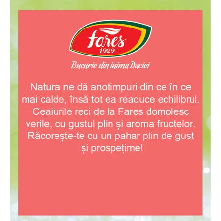 Ceai rece cu Merisoare si Fragute, 12 plicuri, Fares 722974