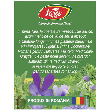 Ceai detoxifiant, 20 plicuri, Fares 722293