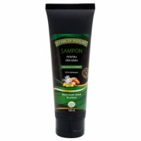 Sampon cu argan si ghimbir, 100 ml, Verre de Nature