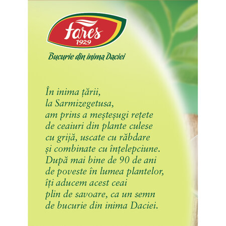 Ceai verde cu ghimbir, 20 doze, Fares 722092