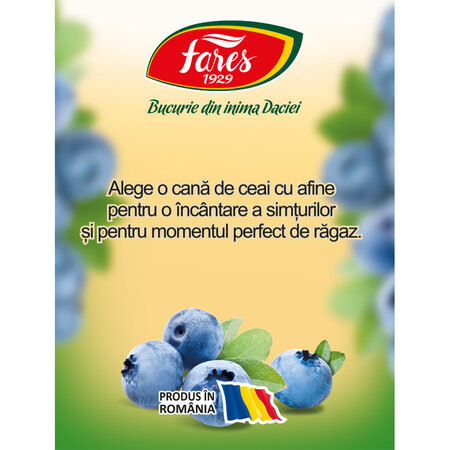 Ceai cu 50% afine, 20 plicuri, Fares 722240