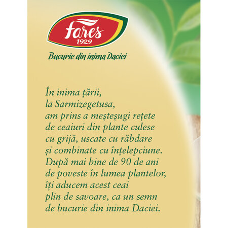 Ceai verde cu iasomie, 20 plicuri, Fares 721895