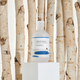 Toner hidratant cu suc de mesteacan Birch Juice, 300 ml, Round Lab 567838