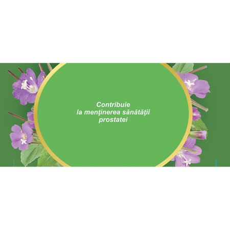 Ceai pufulita cu flori mici, 20 plicuri, Fares 721437