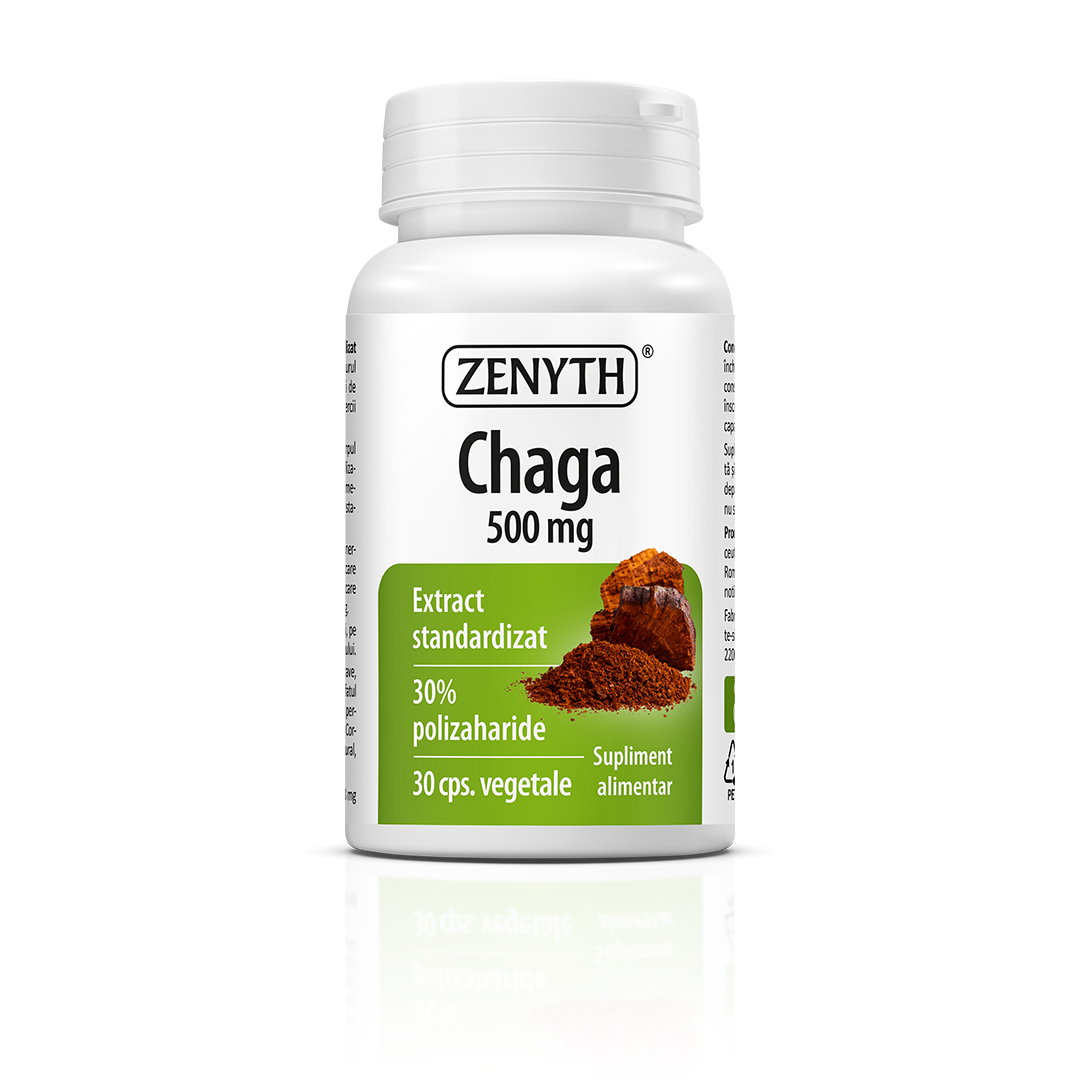 Chaga Extract, 30 capsule, Zenyth