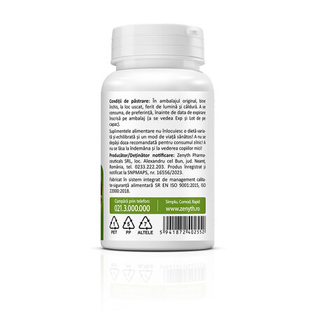 Chaga Extract, 30 capsule, Zenyth 773061