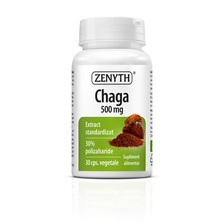 Chaga Extract, 30 capsule, Zenyth