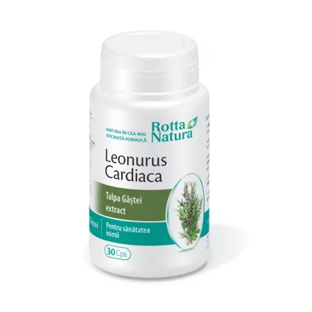 Leonurus Cardiaca Extact Talpa Gastiei, 30 capsule, Rotta Natura