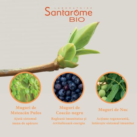 Allerus Mix 3 Muguri Bio, 30 ml, Santarome 615527