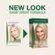 Vopsea de par fara amoniac, Platinum Blonde 10.0, 115 ml, Naturigin 682285