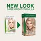 Vopsea de par fara amoniac, Light Ash Blonde 10.2, 115 ml, Naturigin 684729