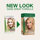 Vopsea de par fara amoniac, Light Golden Blonde 10.3, 115 ml,, Naturigin 684732