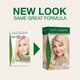 Vopsea de par fara amoniac, Extreme Blonde 11.0, 115 ml, Naturigin 684733