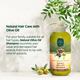 Sampon cu ulei de masline natural, 600 ml, Eyup Sabri Tuncer 647112