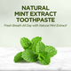 Pasta de dinti cu extract natural de menta, 90 ml, Eyup Sabri Tuncer 647160