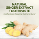 Pasta de dinti cu extract natural de Ghimbir, 90 ml, Eyup Sabri Tuncer 647163