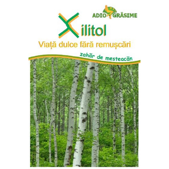 Xilitol zahar de mesteacan, 1 kg, Adio Grasime