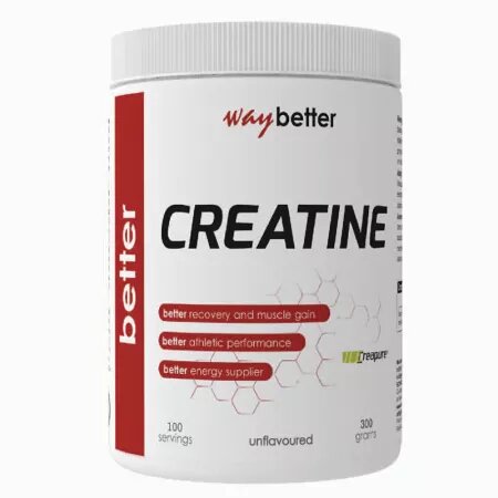 WAY BETTER CREATINE 300GR