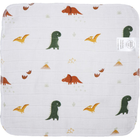 Set museline din bumbac Blush & Blossom, 30 x 30 cm, Dinosaur, 3 bucati, Tryco 574743