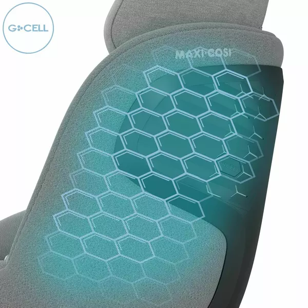 Carucior 2 in 1 pentru copii Samba