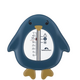 Termometru de baie Pinguin Sweet Artic, Bebe Confort 575557