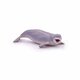 Figurina Balena Beluga, +3 ani, Papo 577375